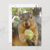 Eekhoorn met peren briefkaart (Voorkant / Achterkant)