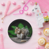 Eekhoorn met pinda's papieren bordje (Feest)