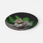 Eekhoorn met pinda's papieren bordje (Gekanteld)