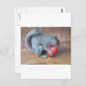 eekhoorn met tomatoen briefkaart (Voorkant / Achterkant)