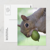 Eekhoorn met volle mond briefkaart (Voorkant / Achterkant)