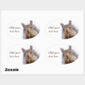 Eekhoorn met walnoot ovale sticker (Vel)