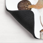 eekhoorn muismat (Hoek)