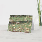 Eekhoorn Notecard Kaart (Achterkant)