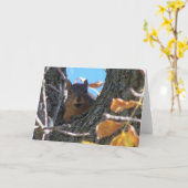 Eekhoorn Notecard Kaart (Gele Bloem)