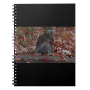eekhoorn notitieboek