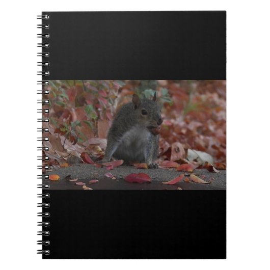 eekhoorn notitieboek (Voorkant)