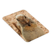 Eekhoorn ontbijt magneet (Rechterzijde)