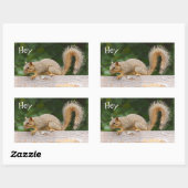 Eekhoorn op de Stickers van de Omheining (Vel)