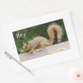 Eekhoorn op de Stickers van de Omheining (Envelop)