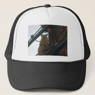 Eekhoorn op een pool in Colorado Trucker Pet