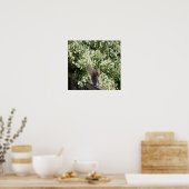 Eekhoorn op hek Afdrukken Poster (Keuken)