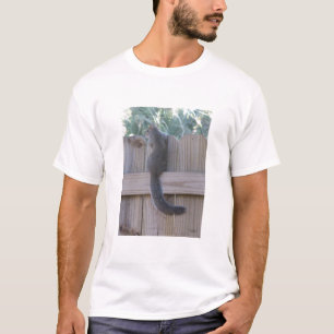 Eekhoorn op hek t-shirt