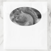 eekhoorn ovale sticker (Tas)