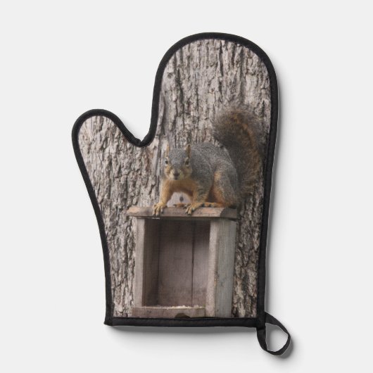 eekhoorn ovenwant (Voorkant)