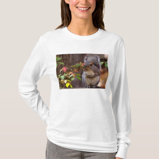 Eekhoorn Patiënt begin lange hoes T-shirt (Voorkant)