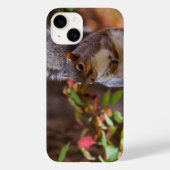 Eekhoorn Patiënt begint iPhone Case (Achterkant)