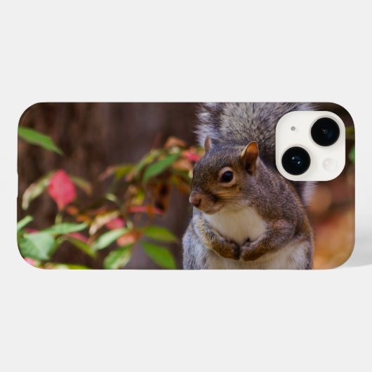 Eekhoorn Patiënt begint iPhone Case (Achterkant (horizontaal))