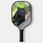 eekhoorn pickleball paddle (Achterkant)