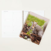 Eekhoorn Planner (Display)