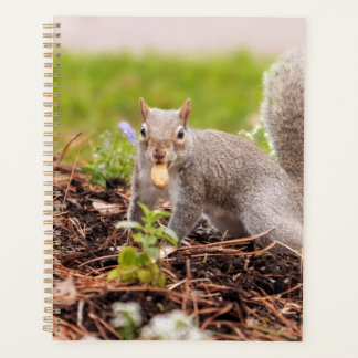 Eekhoorn Planner