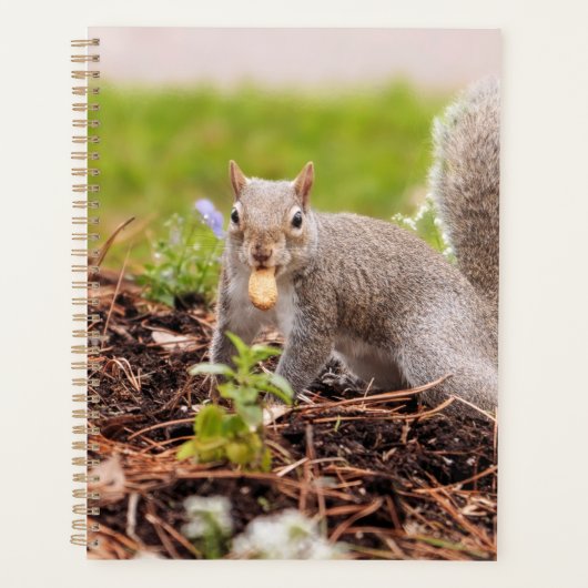 Eekhoorn Planner (Voorkant)