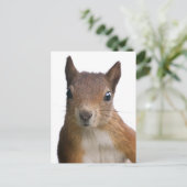 Eekhoorn Portret Briefkaart (Staand voorkant)