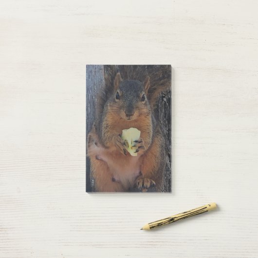 eekhoorn post-it® notes (Op bureau)