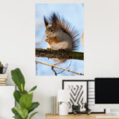 eekhoorn poster (Thuiskantoor)