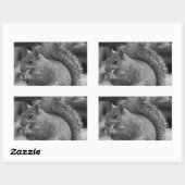 eekhoorn rechthoekige sticker (Vel)