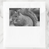 eekhoorn rechthoekige sticker (Tas)