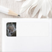 Eekhoorn retour adreslabels etiket (Insitu)