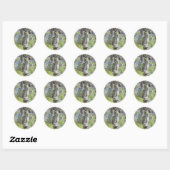 Eekhoorn rondhangen ronde sticker (Vel)
