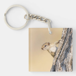 Eekhoorn Sleutelhanger