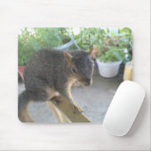 Eekhoorn Sluiten Mousepad Muismat (Met muis)