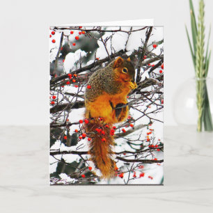 Eekhoorn Sneeuw Rode Berry Tree Foto Kerstmis Feestdagen Kaart
