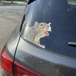 Eekhoorn Sticker