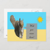 Eekhoorn Sunshine Briefkaart (Voorkant / Achterkant)