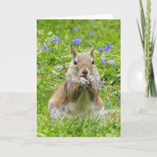 Eekhoorn tussen wilde Violetten Kaart