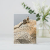 eekhoorn uitnodiging briefkaart (Staand voorkant)