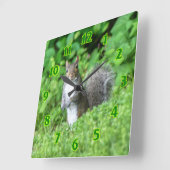 eekhoorn vierkante klok (Hoek)