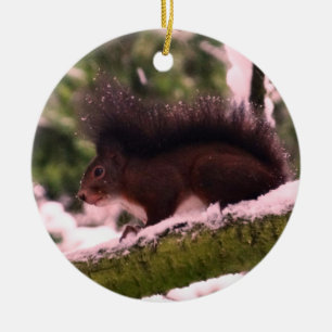Eekhoorn Winter Foto Cirkel Ornament