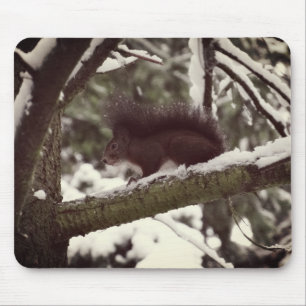 Eekhoorn Winter Foto Mousepad Muismat