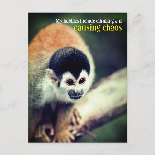 Eekhoornaap in boom briefkaart (Voorkant)