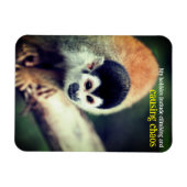 Eekhoornaap in boom magneet (Horizontaal)