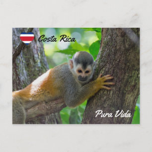 Eekhoornaapje in Manuel Antonio NP - Costa Rica Briefkaart
