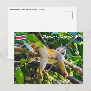 Eekhoornaapje in Manuel Antonio NP - Costa Rica Briefkaart