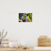 Eekhoornaapje in Manuel Antonio NP - Costa Rica Poster (Keuken)