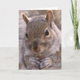 Eekhoornbriefkaart Kaart