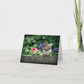 Eekhoornbriefkaart Kaart